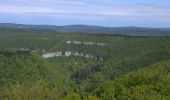 Tour Wandern Éternoz - Nans sous ste Anne, Lizon - Photo 1