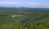 Tour Wandern Éternoz - Nans sous ste Anne, Lizon - Photo 1