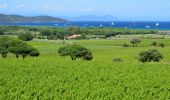 Tour Wandern Ramatuelle - Plage de Pampelonne à Plage de L'Escalet - Photo 1