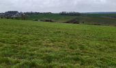 Tour Wandern Havelange - Gros Chêne - Photo 6