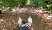 Trail Horseback riding Habay - Les 4 fils saumon à cheval - Photo 13
