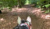 Tocht Paardrijden Habay - Les 4 fils saumon à cheval - Photo 13