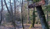 Trail Walking Spa - tour des 10 sources  - Photo 17