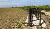 Percorso Marcia Ormoy-le-Davien - 040522 - Boucle Ormoy le Davien - Moulin de Wallu... - Photo 2