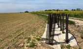 Tour Wandern Ormoy-le-Davien - 040522 - Boucle Ormoy le Davien - Moulin de Wallu... - Photo 2