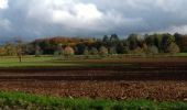 Tour Elektrofahrrad Fougerolles-Saint-Valbert - vélo 26-10-20 Predurupt - Photo 1