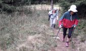 Trail Walking Les Estables - Alambre - Photo 5