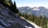 Randonnée Marche Glières-Val-de-Borne - BARGY: TRAVERSEE CENISE - LAC DE LESSY - PARADIS - Photo 2