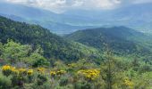 Percorso Marcia Vernet-les-Bains - Les 3 cols - Photo 7