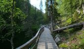 Tour Zu Fuß Pelkosenniemi - Noitatunturin valloitus (Summer hiking route) - Photo 5