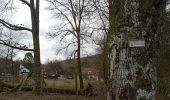 Trail Walking Baerenthal - schmalenthal, bannstein, hammerschless - Photo 9