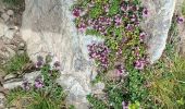 Trail Walking Laval-en-Belledonne - LES LACS DU VENETIER - Photo 5