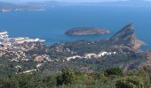 Tour Wandern La Ciotat - la ciotat michel simon - Photo 16