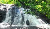 Tour Wandern Nébouzat - Nebouzat_Puy_Pourcharet_1_JG_02 - Photo 1