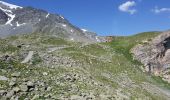 Excursión Senderismo Pralognan-la-Vanoise - Pralognan - col du soufre A/R - Photo 8