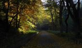 Percorso A piedi Oberhof - Rennsteig-Leiter Luisenthal - Photo 6