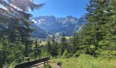 Randonnée Marche Pralognan-la-Vanoise - Bois de la Rossa (boucle) - Photo 10