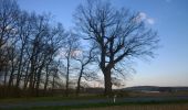 Tour Zu Fuß Groß-Umstadt - Rundwanderweg Richen 1 : Rödergrund-Weg - Photo 2