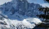 Percorso Marcia Chamonix-Mont-Blanc - CHAMONIX... depuis l' Arveyron jusqu'à la Floria.  - Photo 6
