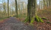Trail Walking Ham-sur-Heure-Nalinnes - GR 129 Noirchien - N-D Loverval  - Photo 11