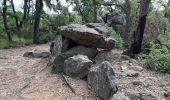Trail Walking Argelès-sur-Mer - Valmy -dolmen de l’alarb- chapelle saint Laurent - Photo 6