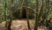 Tocht Stappen Auxey-Duresses - Camp des Celtes et sentier des Cabottes - Photo 4