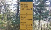 Trail Walking Ponet-et-Saint-Auban - Ponet-et-St-Auban - Montagne de Desse - Marignac - Photo 1