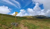 Trail Walking Theys - Col du Merdaret, Roche Noire au départ de Pipay  - Photo 9