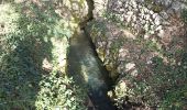 Trail Walking Cotignac - sommet du Bessillon - Photo 13