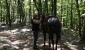 Trail Horseback riding Métairies-Saint-Quirin - rond pré baronnie château Turquestein la forêt  - Photo 16
