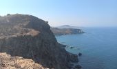 Excursión Senderismo Banyuls-sur-Mer - cap del troc . coll de gran bau . cap réderis . retour par le chemin du littoral  - Photo 7