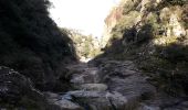 Excursión Senderismo Callas - 83 Gorges de Pennafort  - Photo 1