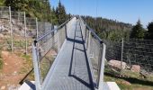 Tocht Stappen Bad Wildbad - Baumwipfelpfad et Wildline à Bad Wildbad dans le Schwarzwald - Photo 6