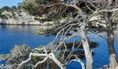 Tocht Stappen Cassis - cassis petite marche - Photo 3