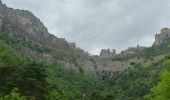 Tocht Elektrische fiets Millau - Millau gorges de la Jonte et gorges du Tarn - Photo 2