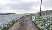 Trail Walking Anhée - La promenade des pelouses calcaires  - Photo 13