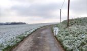 Trail Walking Anhée - La promenade des pelouses calcaires  - Photo 13