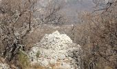 Randonnée Marche Cipières - Cipieres - Borie - Graus de Pons - Photo 1