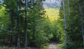 Tocht Stappen Claix - Le plateau de Peuil - Photo 4