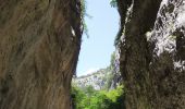 Randonnée A pied Aielli - Gole di Celano - Photo 4