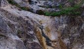 Percorso A piedi Kranjska Gora - stara vršiška cesta - Photo 3