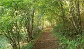 Randonnée Marche Viroinval - De Nismes à Petigny par le Tienne du Lion - Photo 10