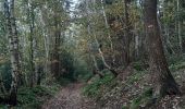 Trail Walking Sprimont - banneux . fraipont . nessonvaux . trasenster . banneux - Photo 12