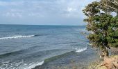 Trail Running Sainte-Anne - Bois Jolan le littoral  - Photo 6