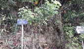 Excursión Senderismo La Trinité - Cosmy - Bois Jadé - Merveilleux en boucle  - Photo 16