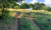 Tour Pfad Sainte-Anne - Fond grand ma  - Photo 2