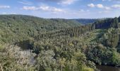 Randonnée Marche Houffalize - tour du lac des 2 ourthes - barrage de Nisramont  - Photo 4