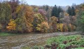 Tour Wandern Florenville - Les Epioux 311023 - Photo 3