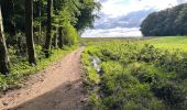 Trail Walking Ellezelles - Ellezelles 26,8 km - Photo 1