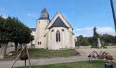 Tour Wandern Turquant - Turquant - GR3 GRP Dampierre-sur-Loire - 24.5km 320m 5h25 (1h05) - 2024 09 18 - Photo 1